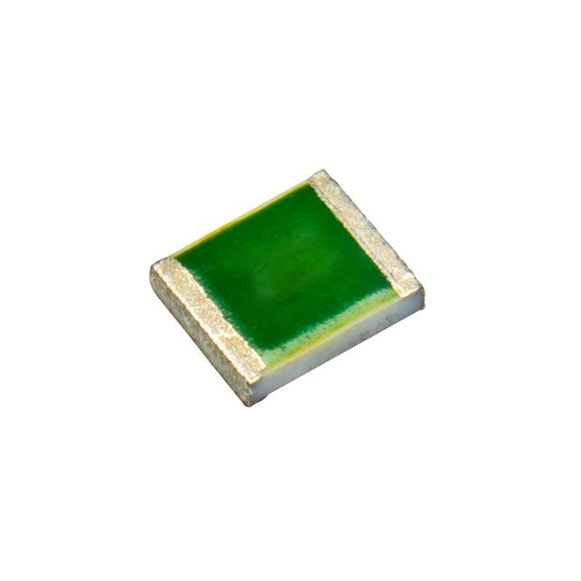 SG73S1ERTTP1002D