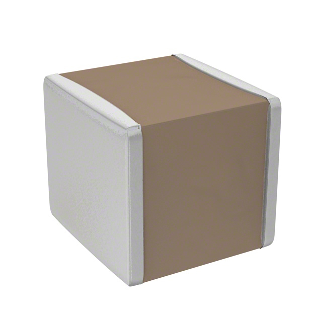 CPF0201B100RE1 CPF0201B100RE1