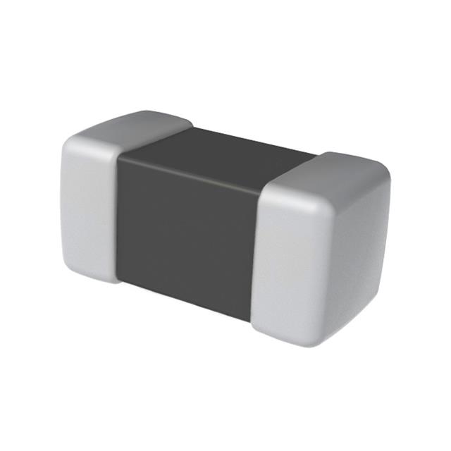 L1007C101MDWIT