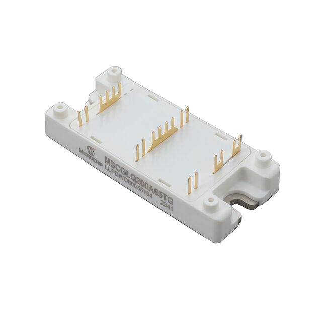 MSCGLQ200A65TG