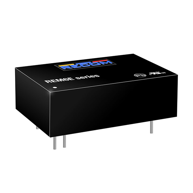 REM6E-2409S/R8/A/X1 REM6E-2409S/R8/A/X1