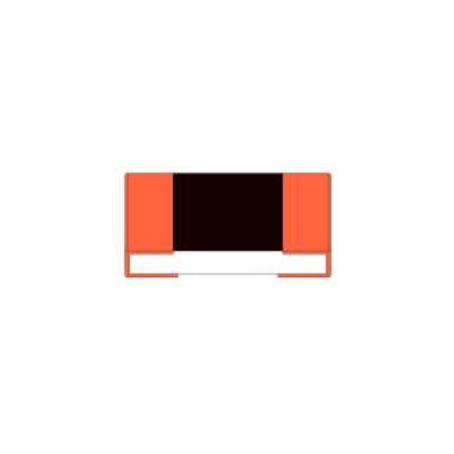 RR0204S-100-JNH